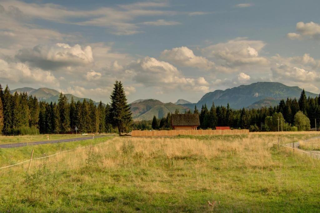 Domek Regionalny Baligówka Witów Exterior foto